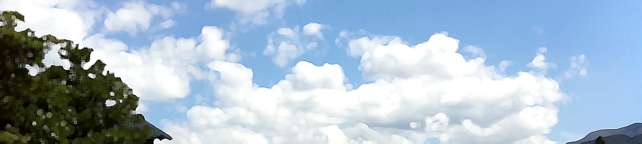 d0080906_21263617.jpg
