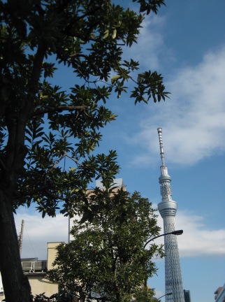 c0138908_20152388.jpg
