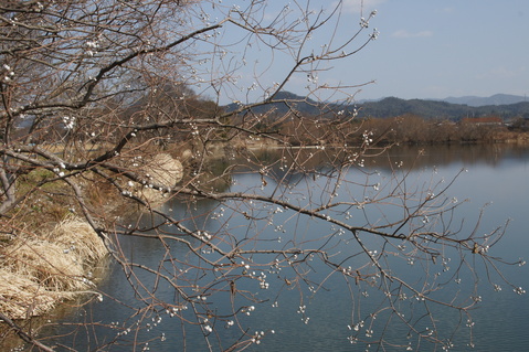 a0029812_14105265.jpg