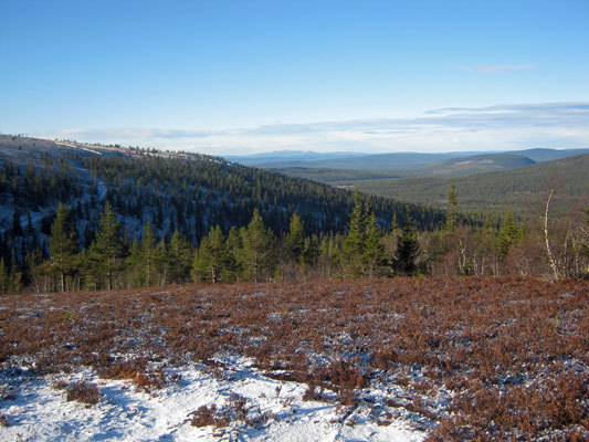 d0241813_3461837.jpg
