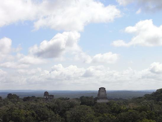 a0247515_20511882.jpg