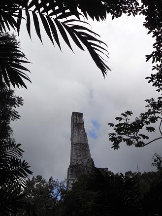 a0247515_20553683.jpg