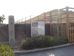 f0000521_7565744.jpg