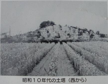 f0000521_8114662.jpg