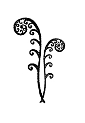 d0042827_1403990.jpg