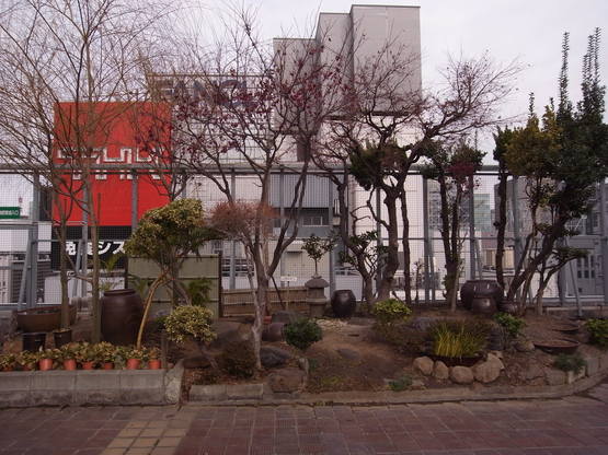 b0117832_9502362.jpg