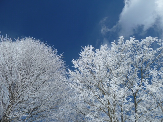 f0186539_2324030.jpg
