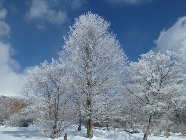 f0186539_2331998.jpg
