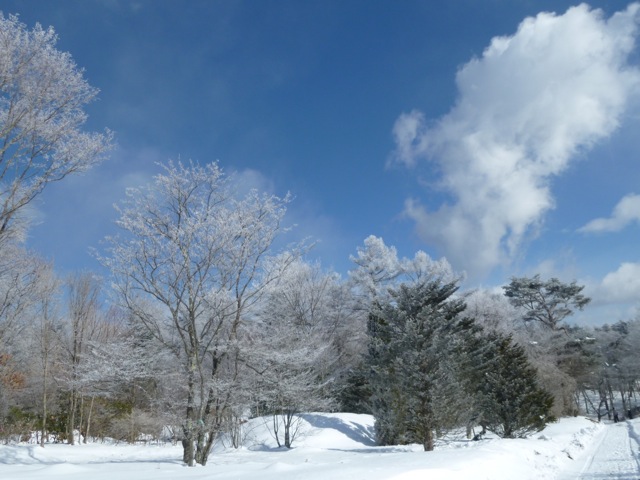 f0186539_2334044.jpg