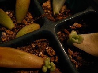 b0200240_18443831.jpg