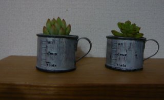 b0200240_18453481.jpg