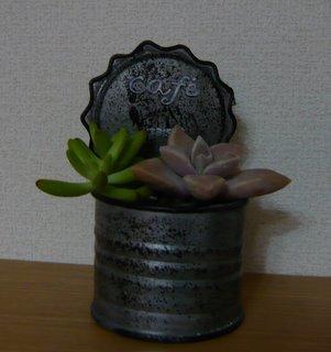 b0200240_18455733.jpg