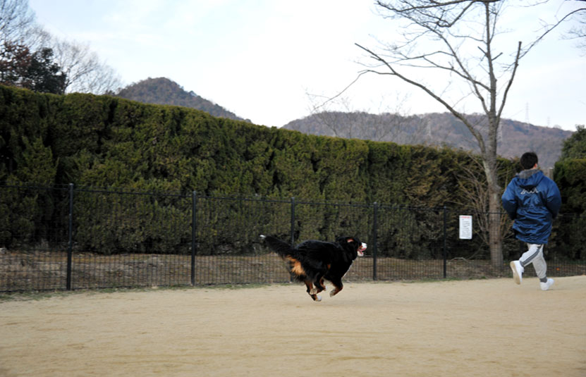 b0075541_2127669.jpg