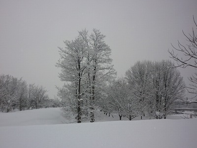 e0131541_2121419.jpg
