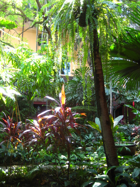 c0209845_034349.jpg