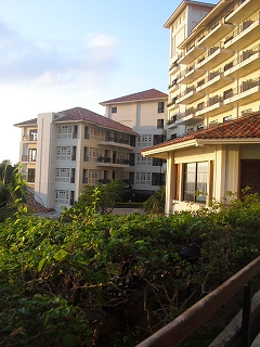 f0009451_8584840.jpg