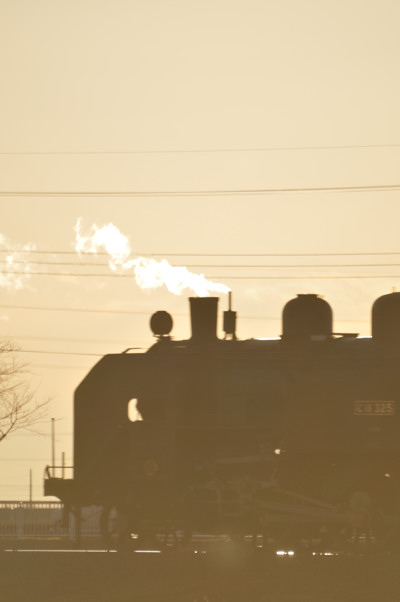 e0131355_20434839.jpg