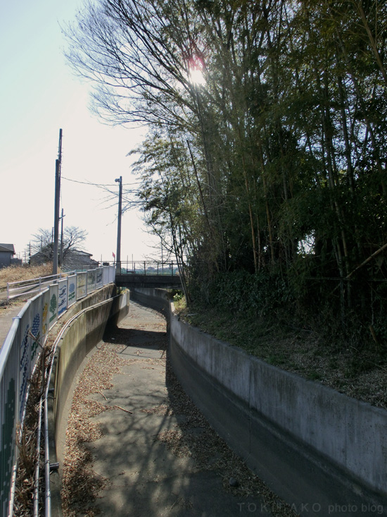 d0100156_0104813.jpg