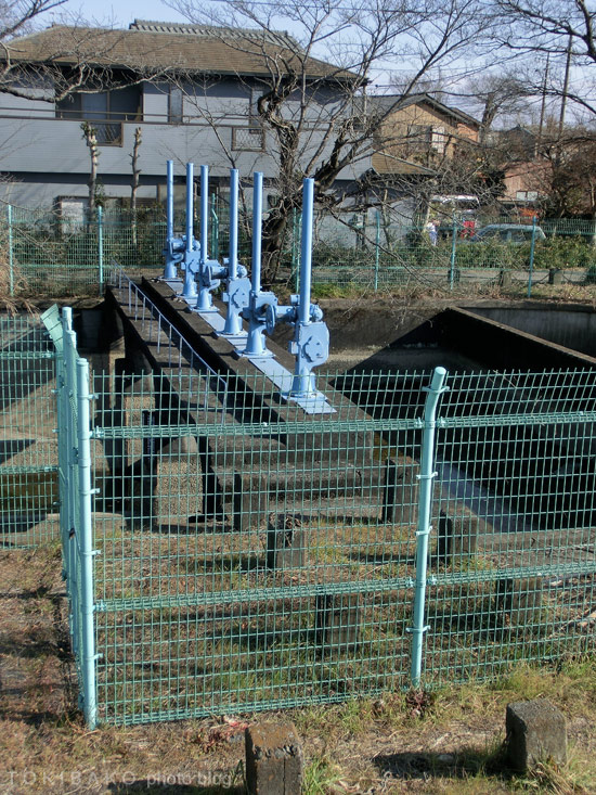 d0100156_0191823.jpg
