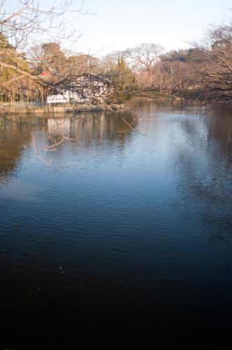 f0176458_1224740.jpg