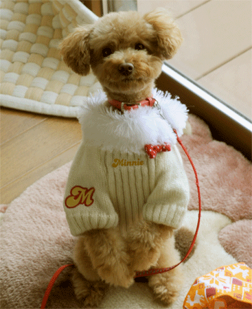 c0196673_13501336.gif