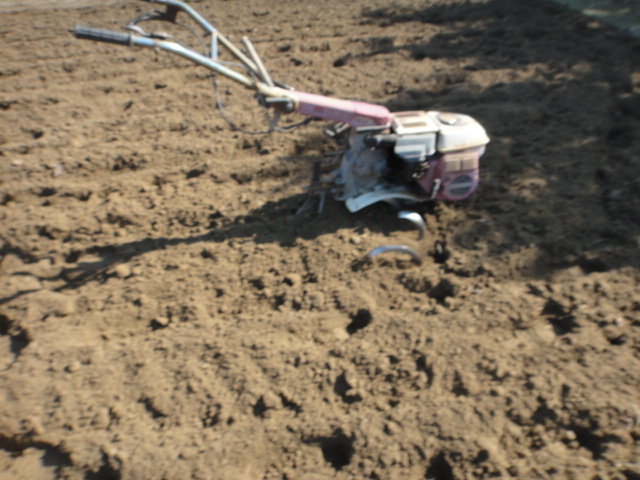 f0137275_4133291.jpg
