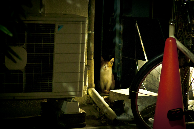 e0123176_2011134.jpg