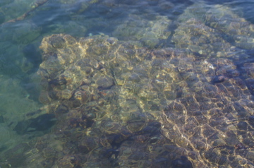 f0054677_846999.jpg
