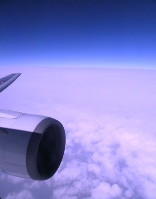 d0179983_19513418.jpg