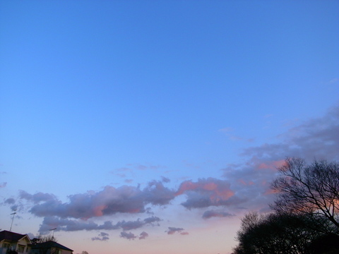 a0195486_2243549.jpg