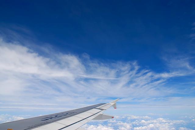 f0085495_2385748.jpg