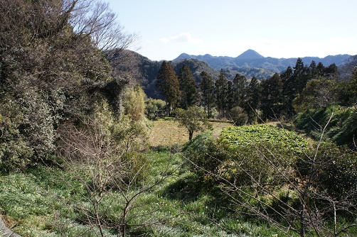 b0112909_19535471.jpg