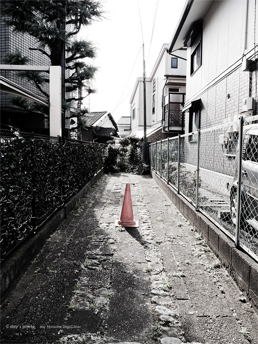 e0117517_1449991.jpg
