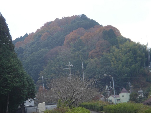 f0000521_7573550.jpg