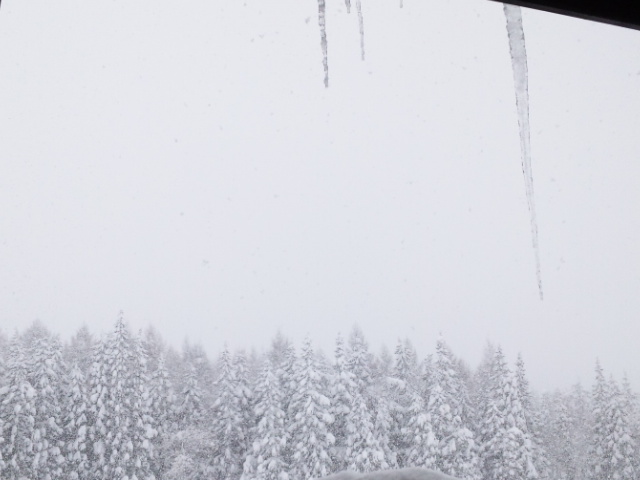 b0199924_17183347.jpg