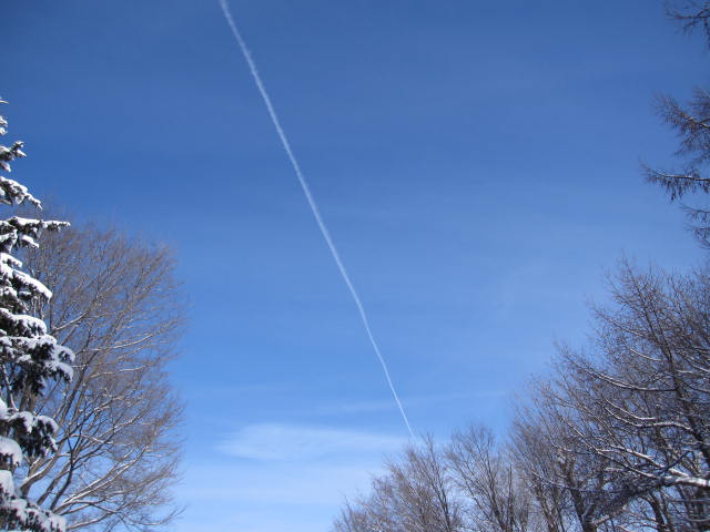 e0191826_151152.jpg