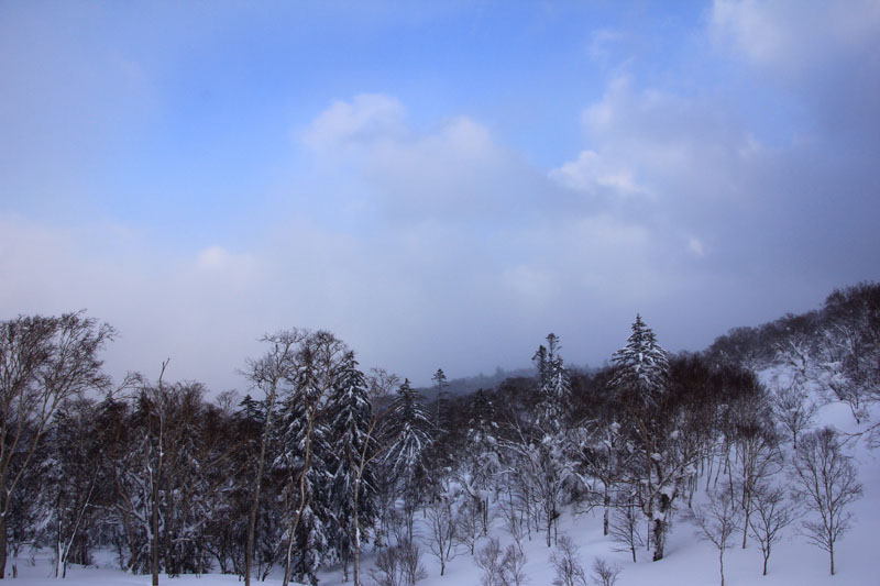 f0227228_2412277.jpg