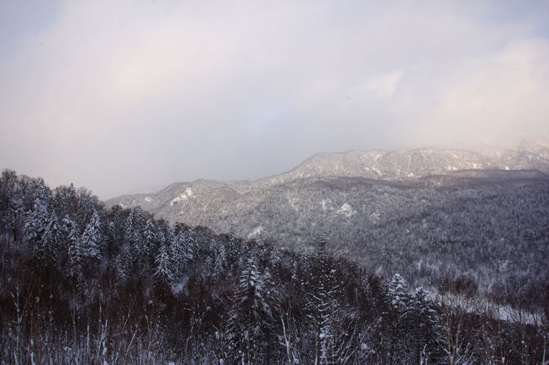 f0227228_2414580.jpg