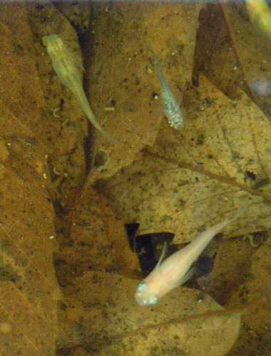 e0097534_17254657.jpg