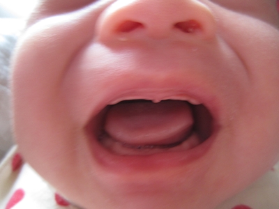 c0037435_22141533.jpg