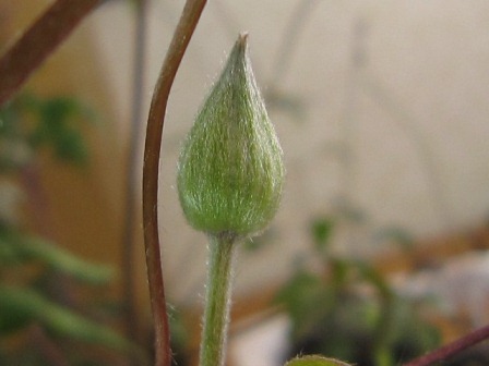 c0025140_22295812.jpg