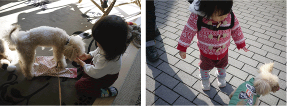 b0182846_21342572.gif
