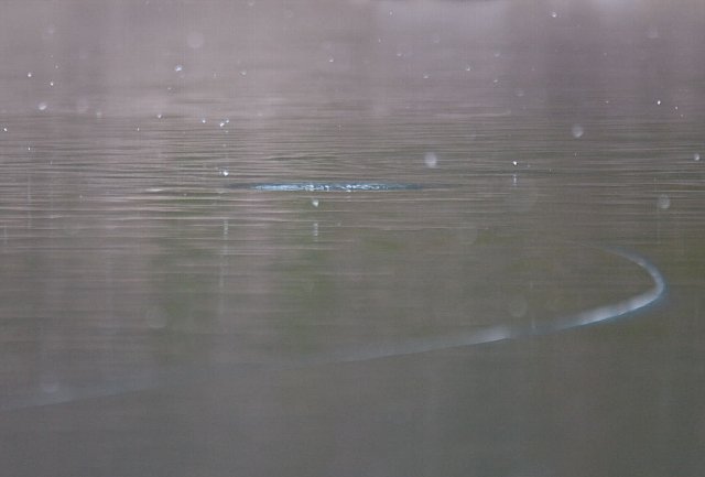 d0247247_21203532.jpg