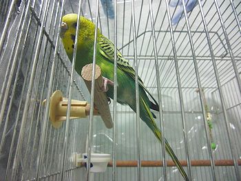 f0196665_22315741.jpg
