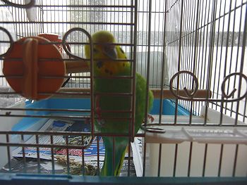 f0196665_2233011.jpg