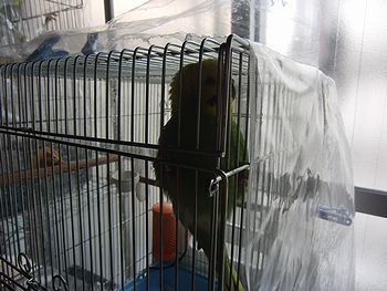 f0196665_22334460.jpg
