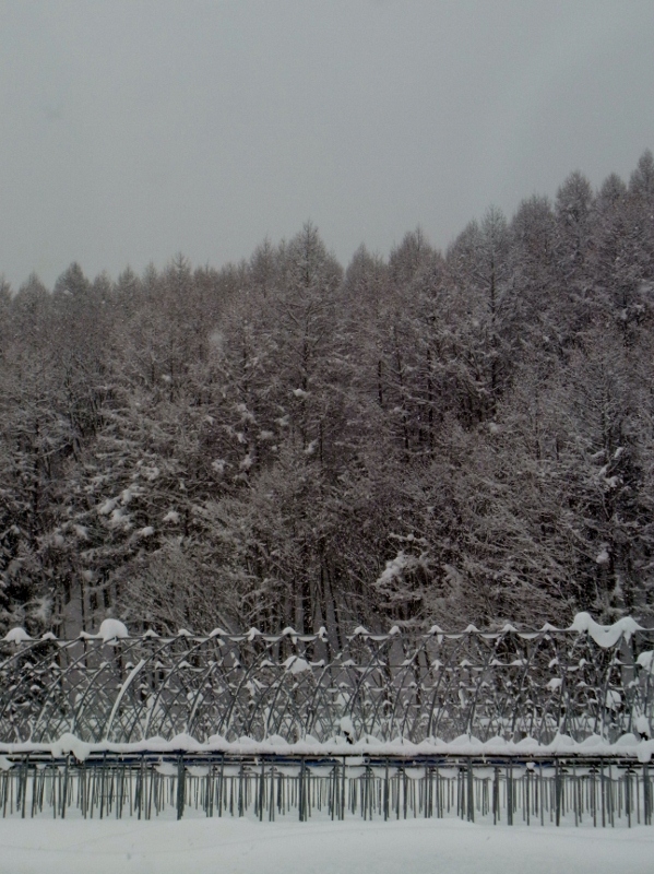 c0198267_7555757.jpg