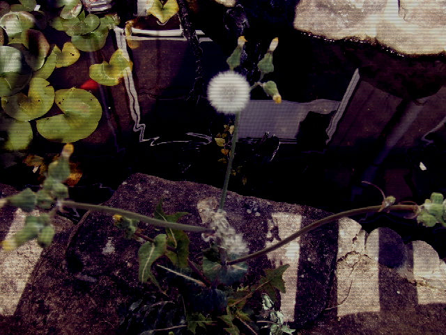 a0224473_233041.jpg