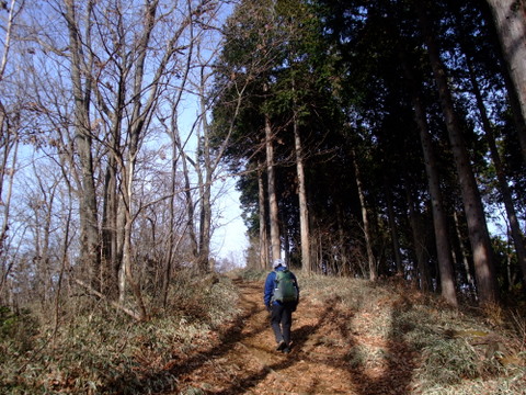 a0043982_1536283.jpg
