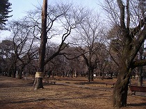 a0142083_14461244.jpg